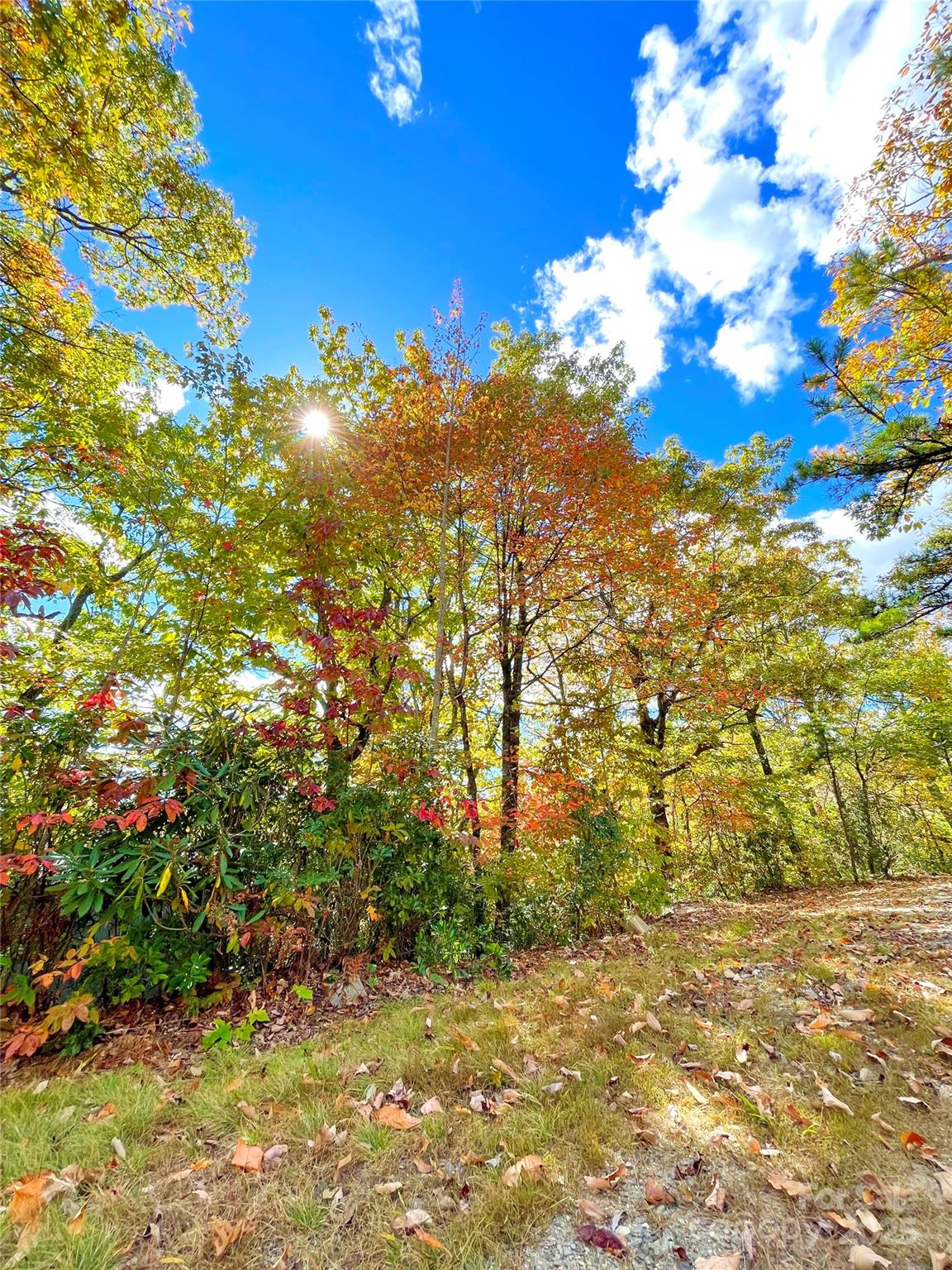 57 Grouse Ridge Drive Black Mountain NC 28711