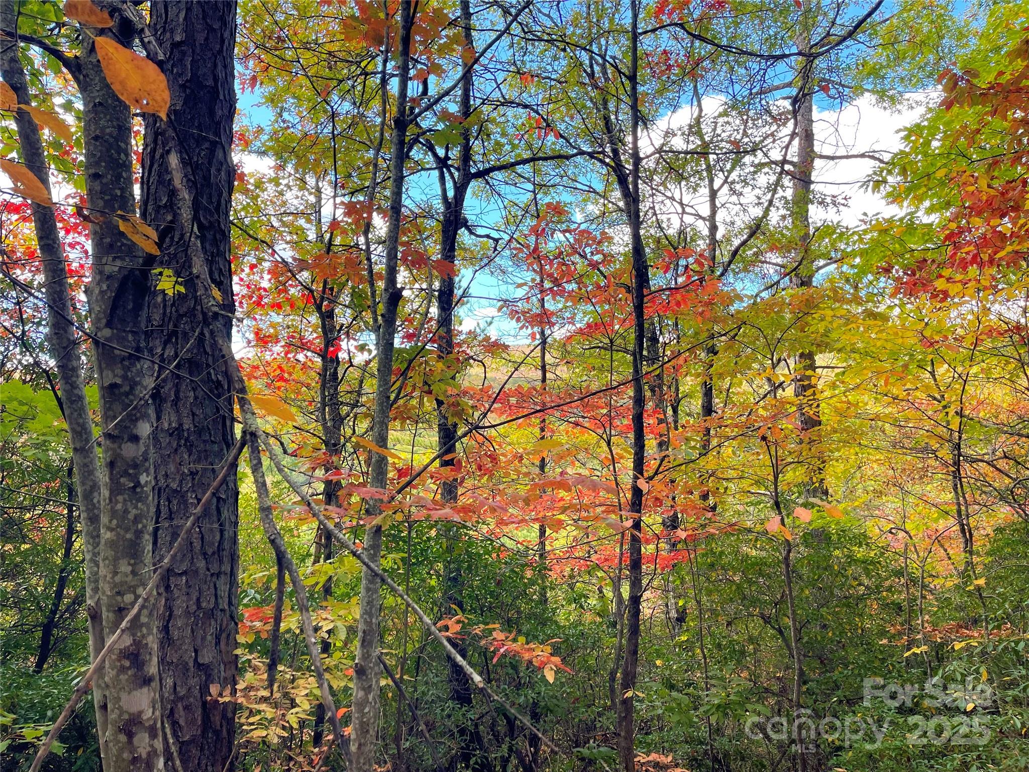 57 Grouse Ridge Drive Black Mountain NC 28711