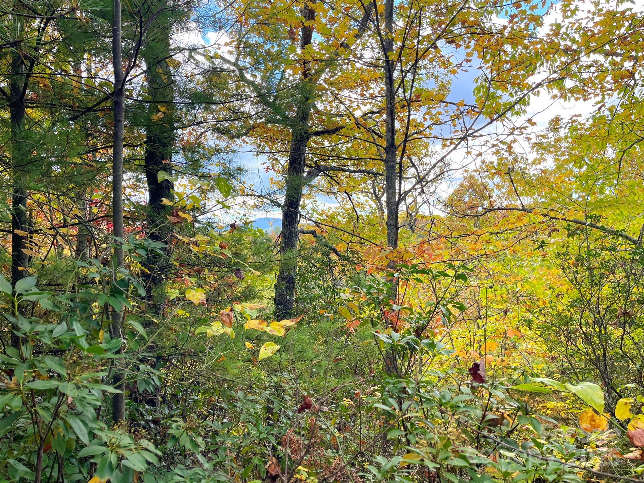 57 Grouse Ridge Drive Black Mountain NC 28711