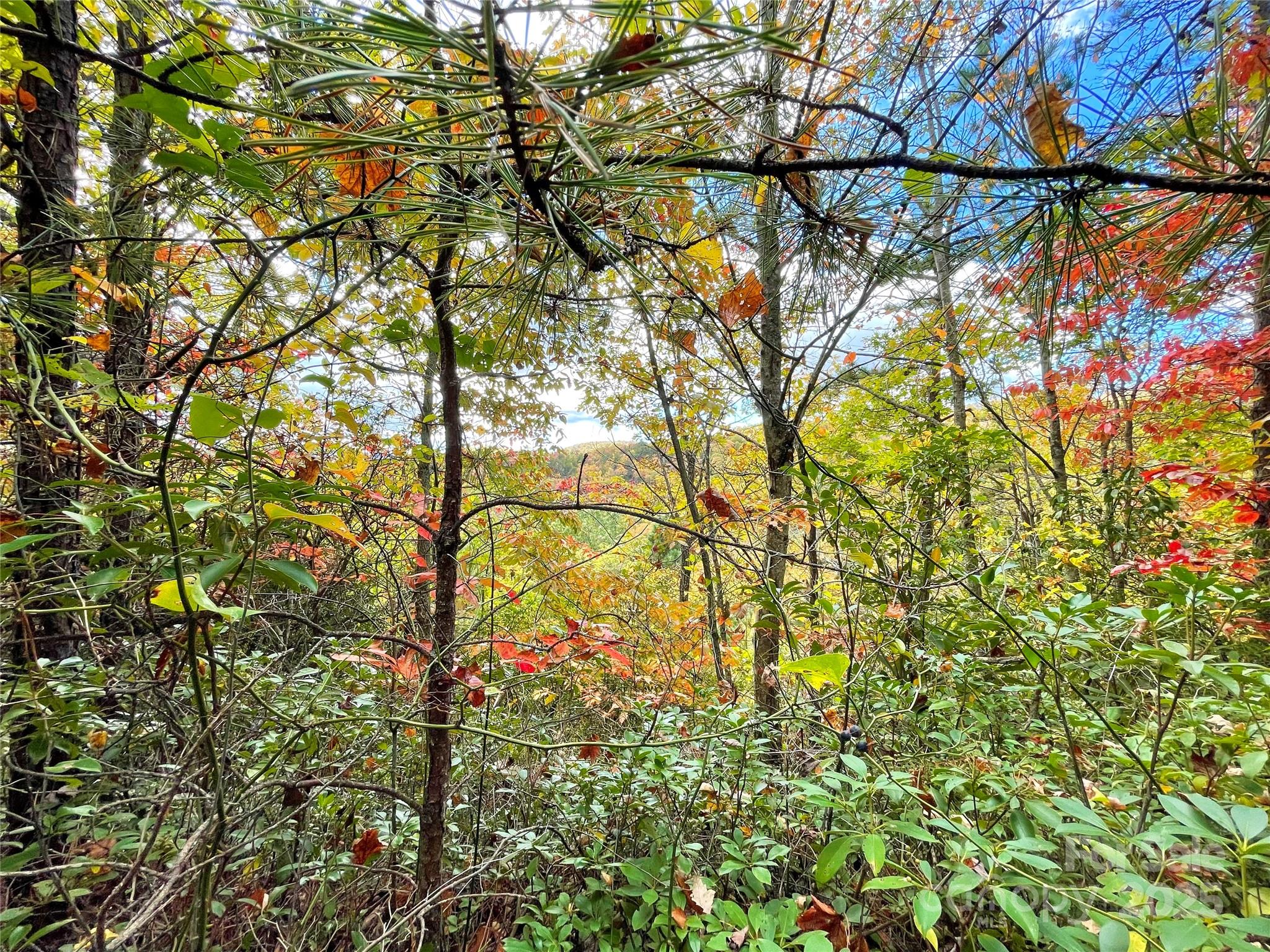 57 Grouse Ridge Drive Black Mountain NC 28711