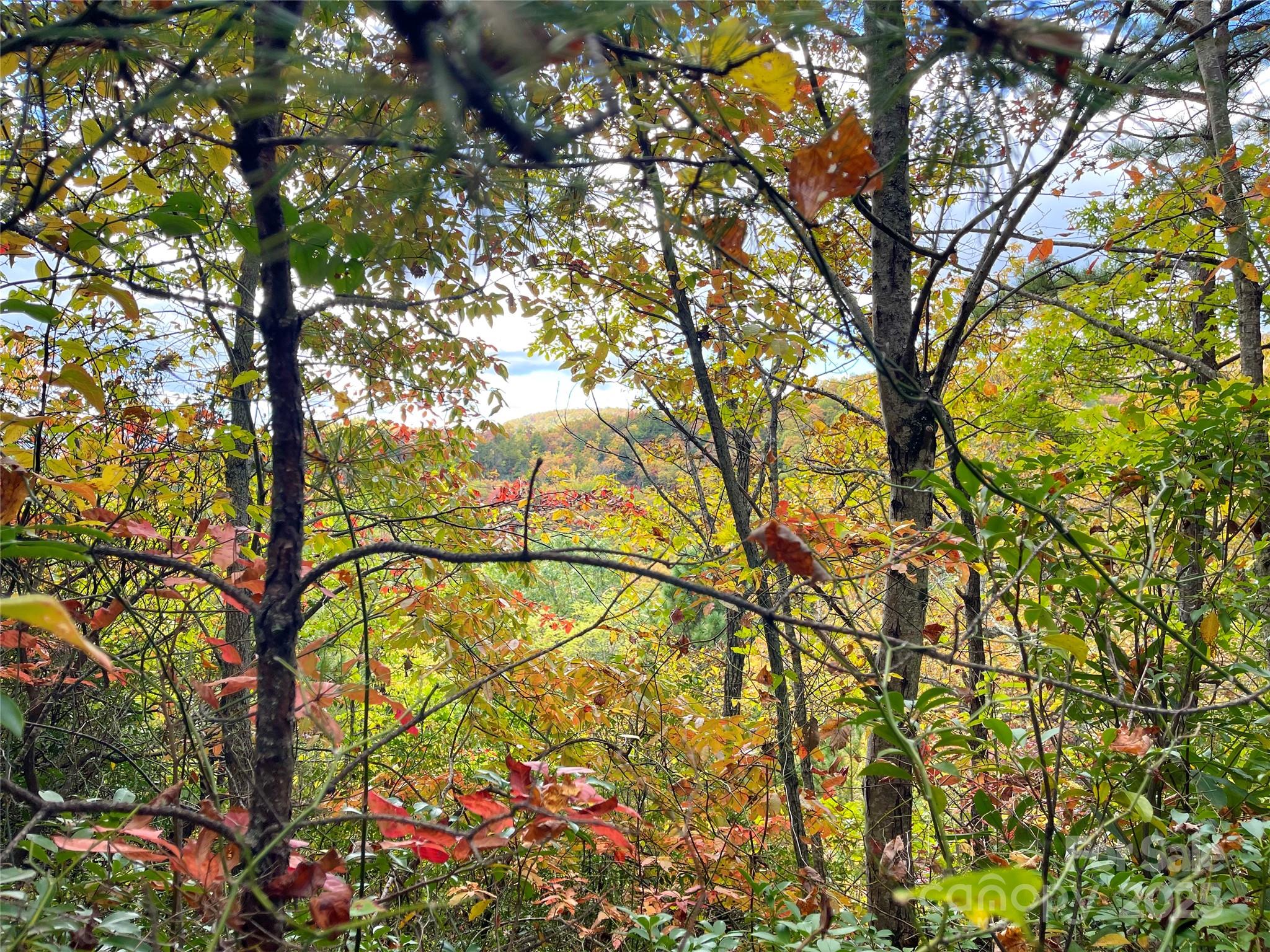 57 Grouse Ridge Drive Black Mountain NC 28711