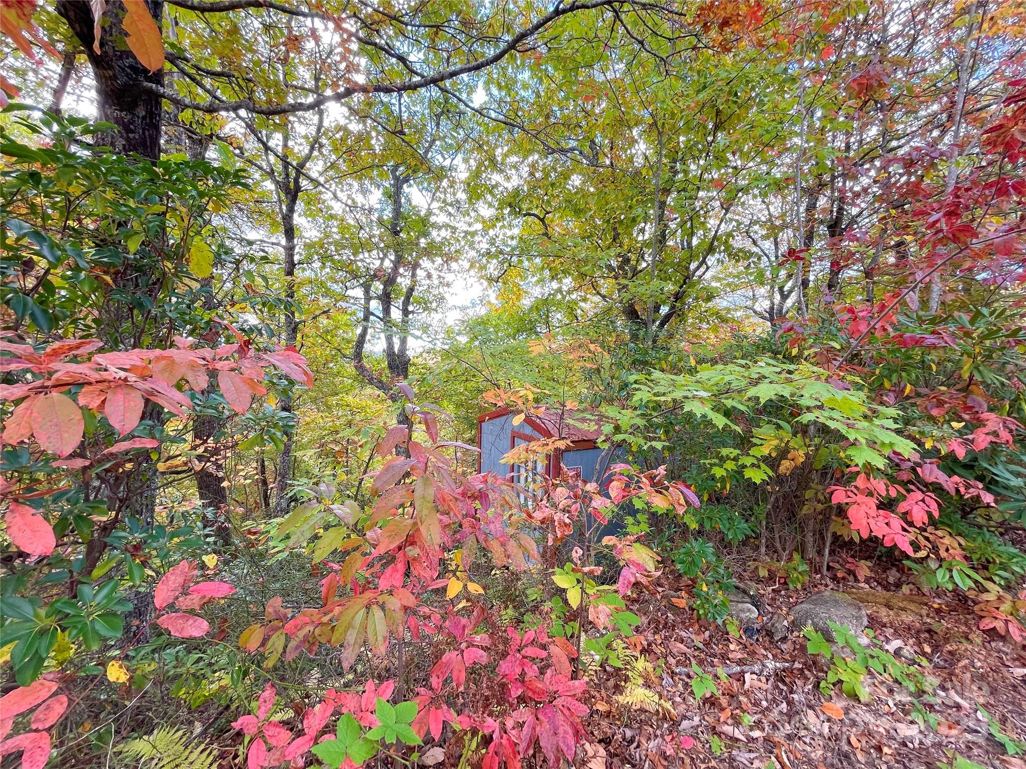 57 Grouse Ridge Drive Black Mountain NC 28711