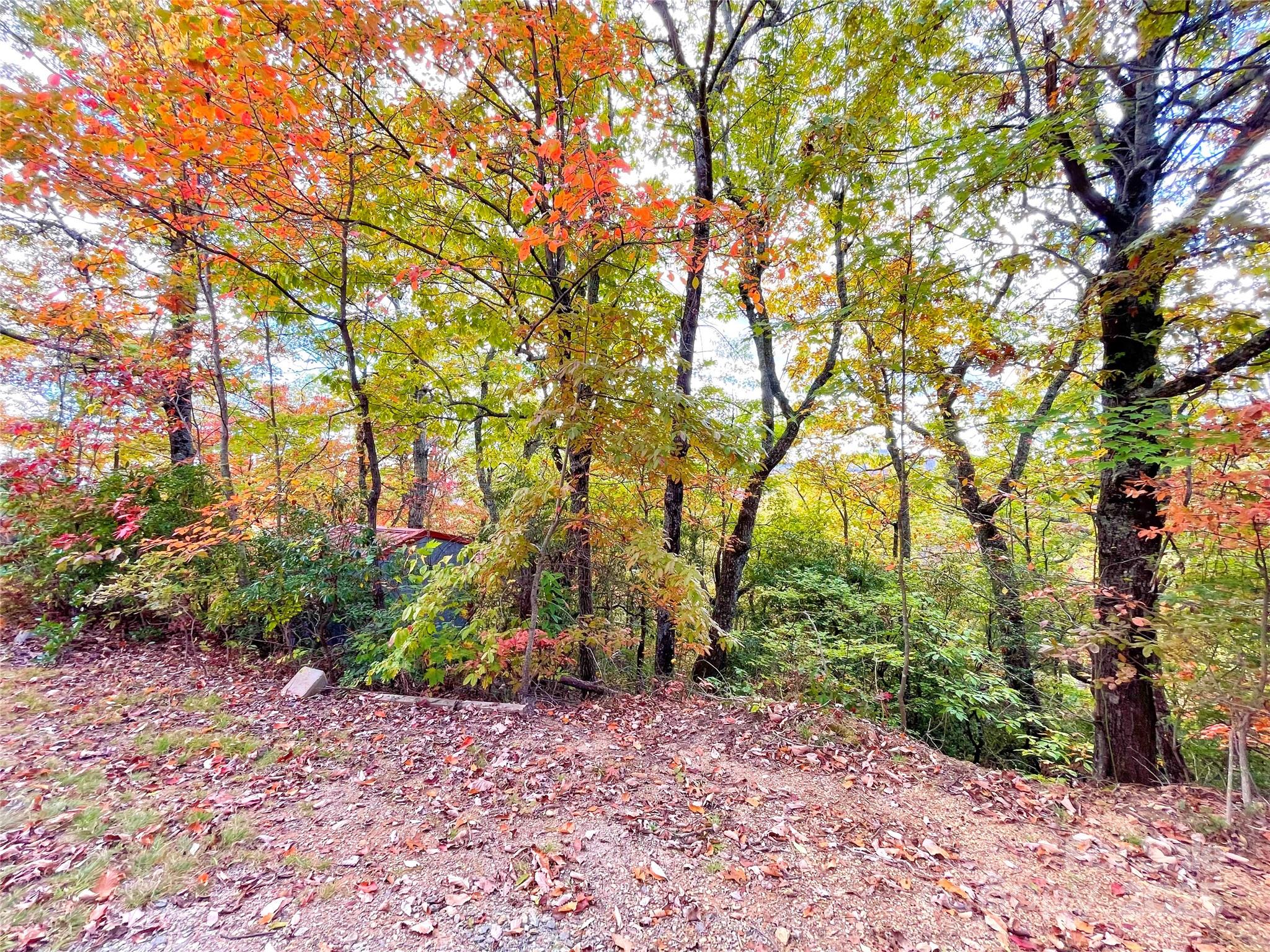 57 Grouse Ridge Drive Black Mountain NC 28711