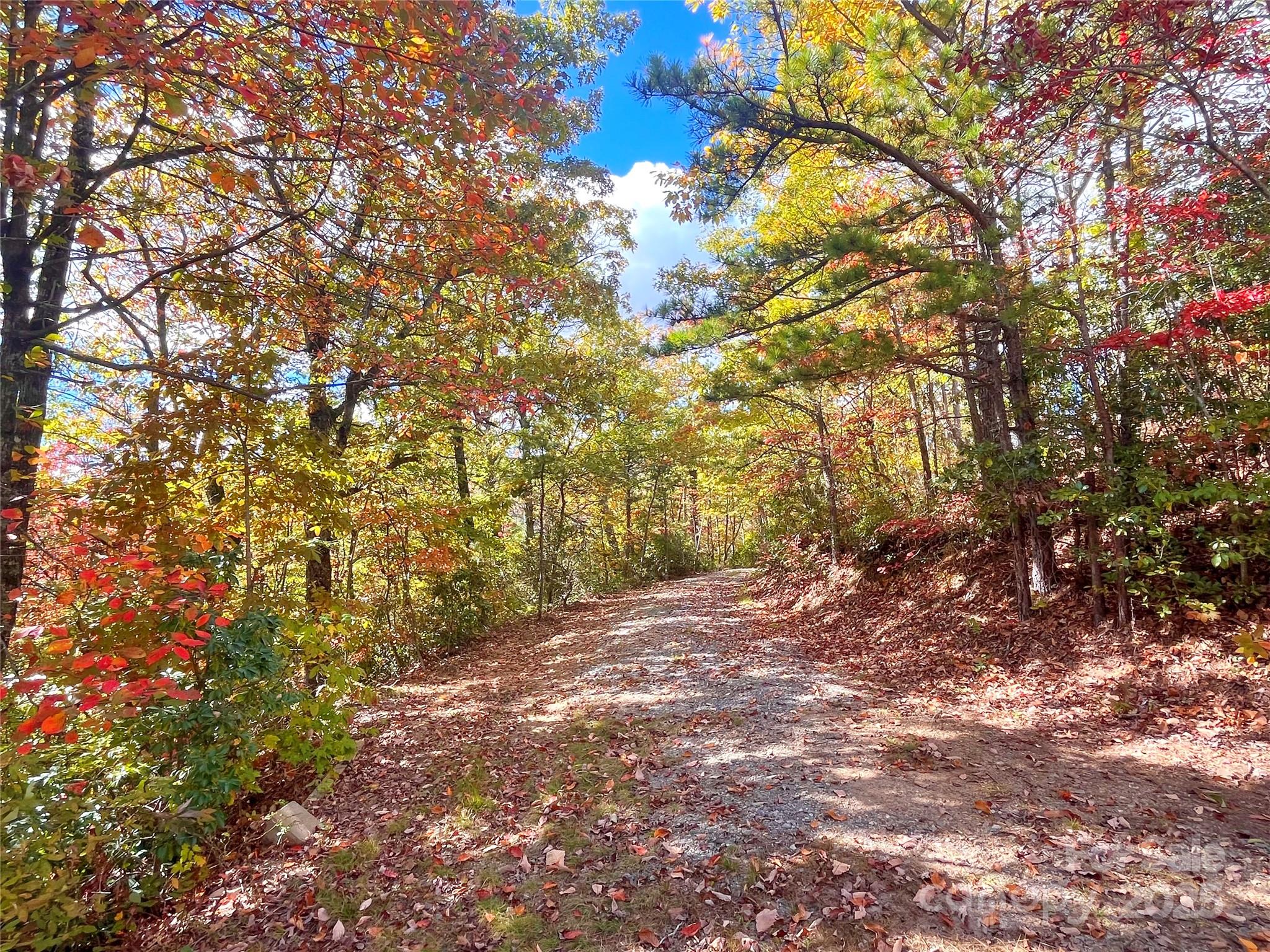 57 Grouse Ridge Drive Black Mountain NC 28711