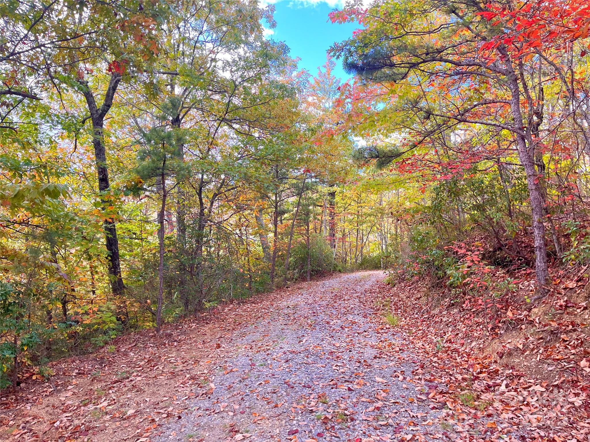 57 Grouse Ridge Drive Black Mountain NC 28711