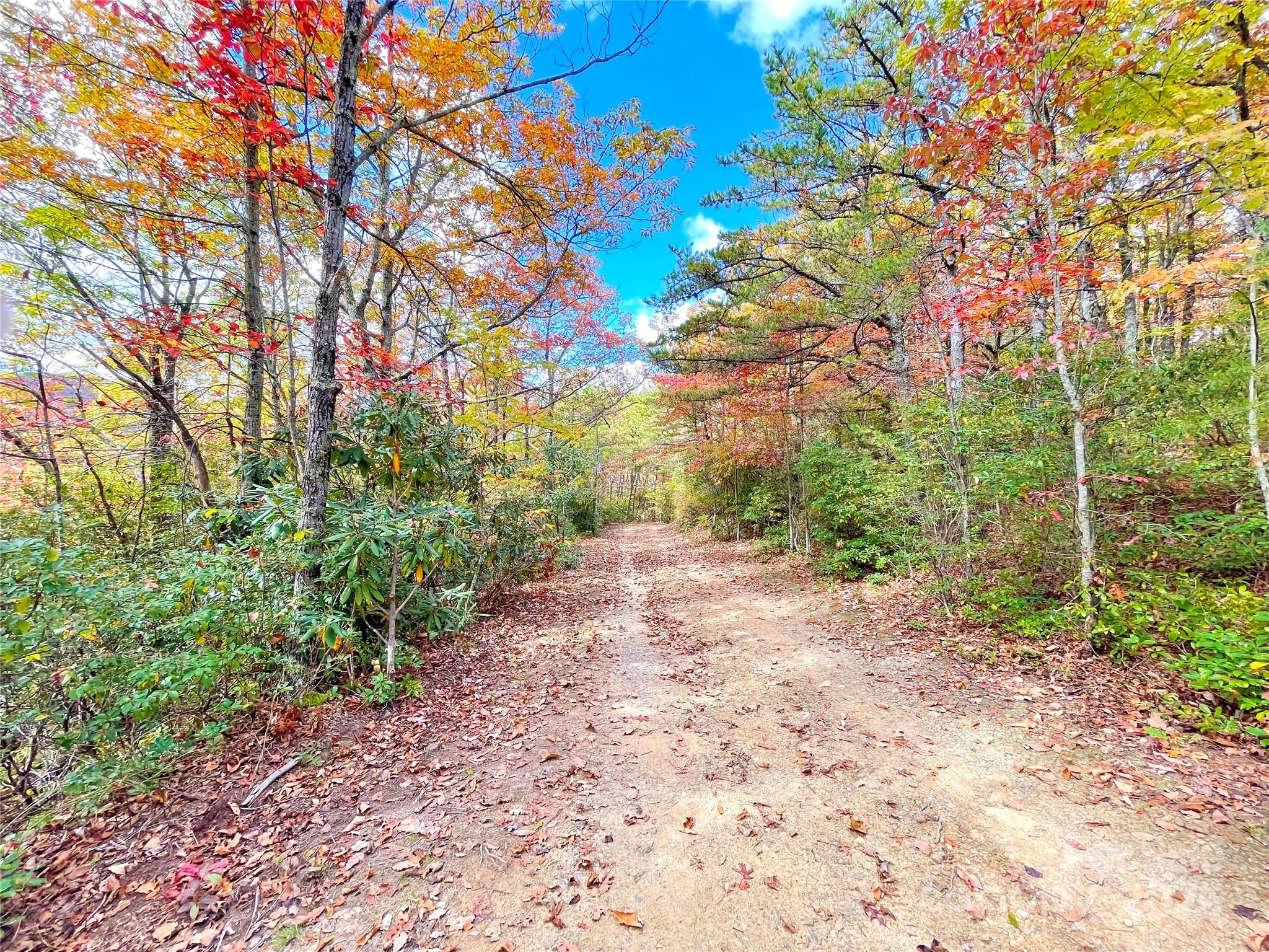 57 Grouse Ridge Drive Black Mountain NC 28711