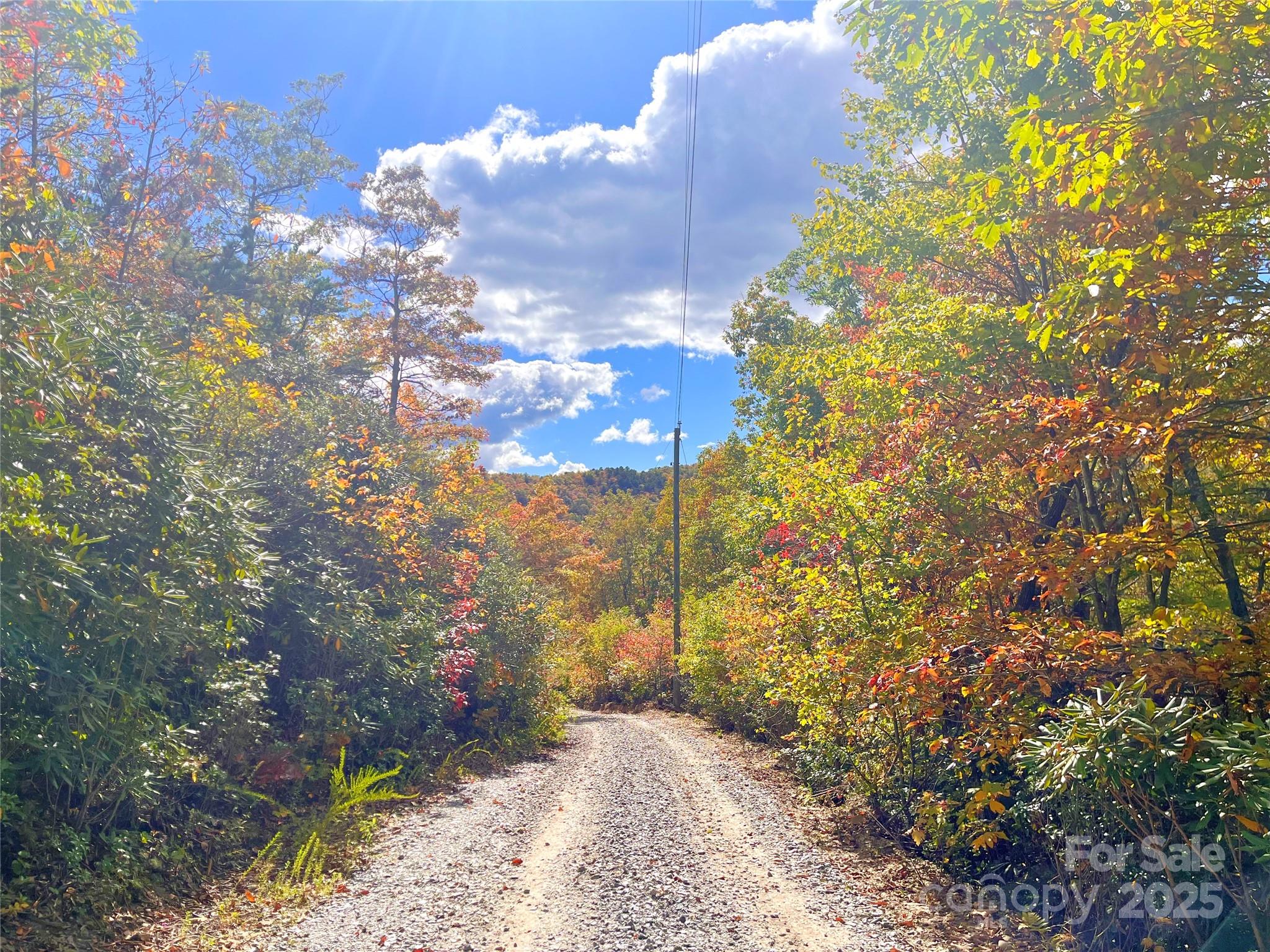 57 Grouse Ridge Drive Black Mountain NC 28711