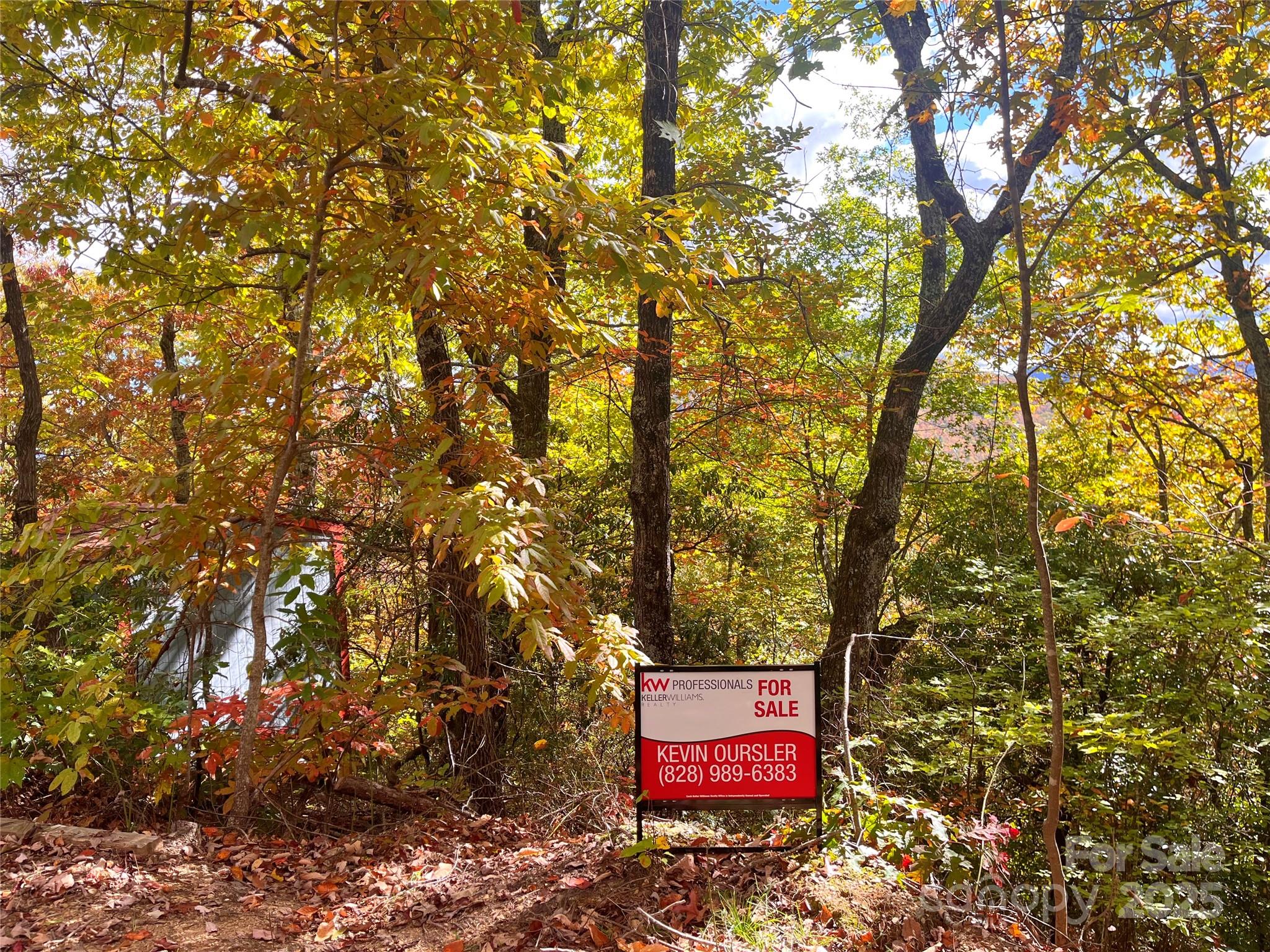57 Grouse Ridge Drive Black Mountain NC 28711
