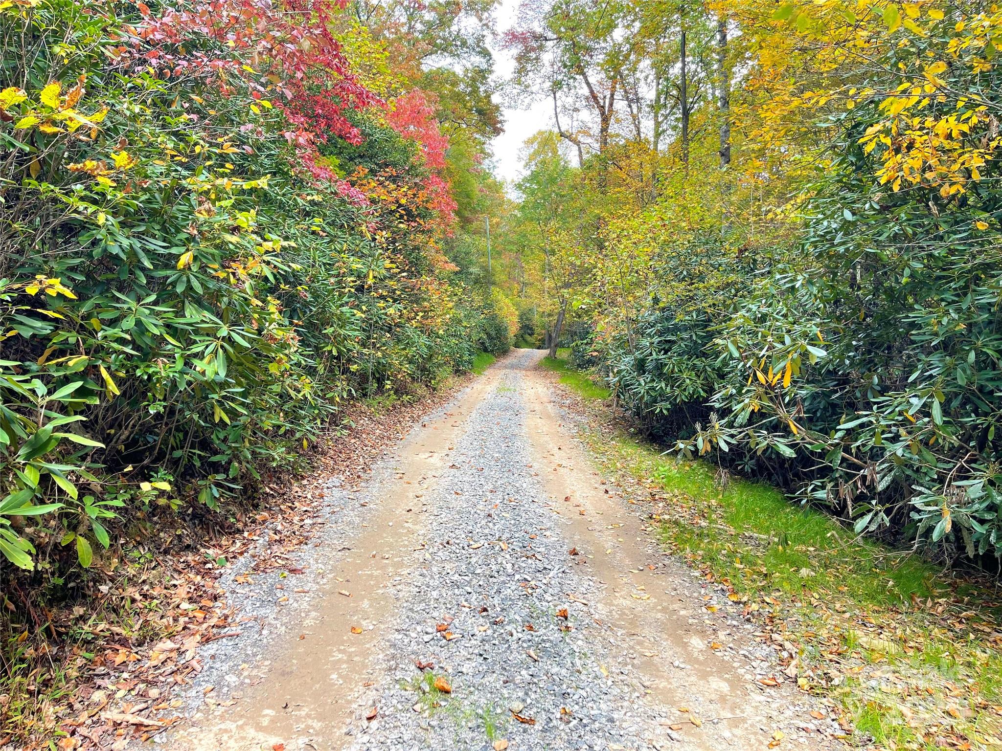 57 Grouse Ridge Drive Black Mountain NC 28711