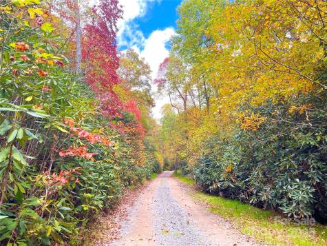 57 Grouse Ridge Drive Black Mountain NC 28711