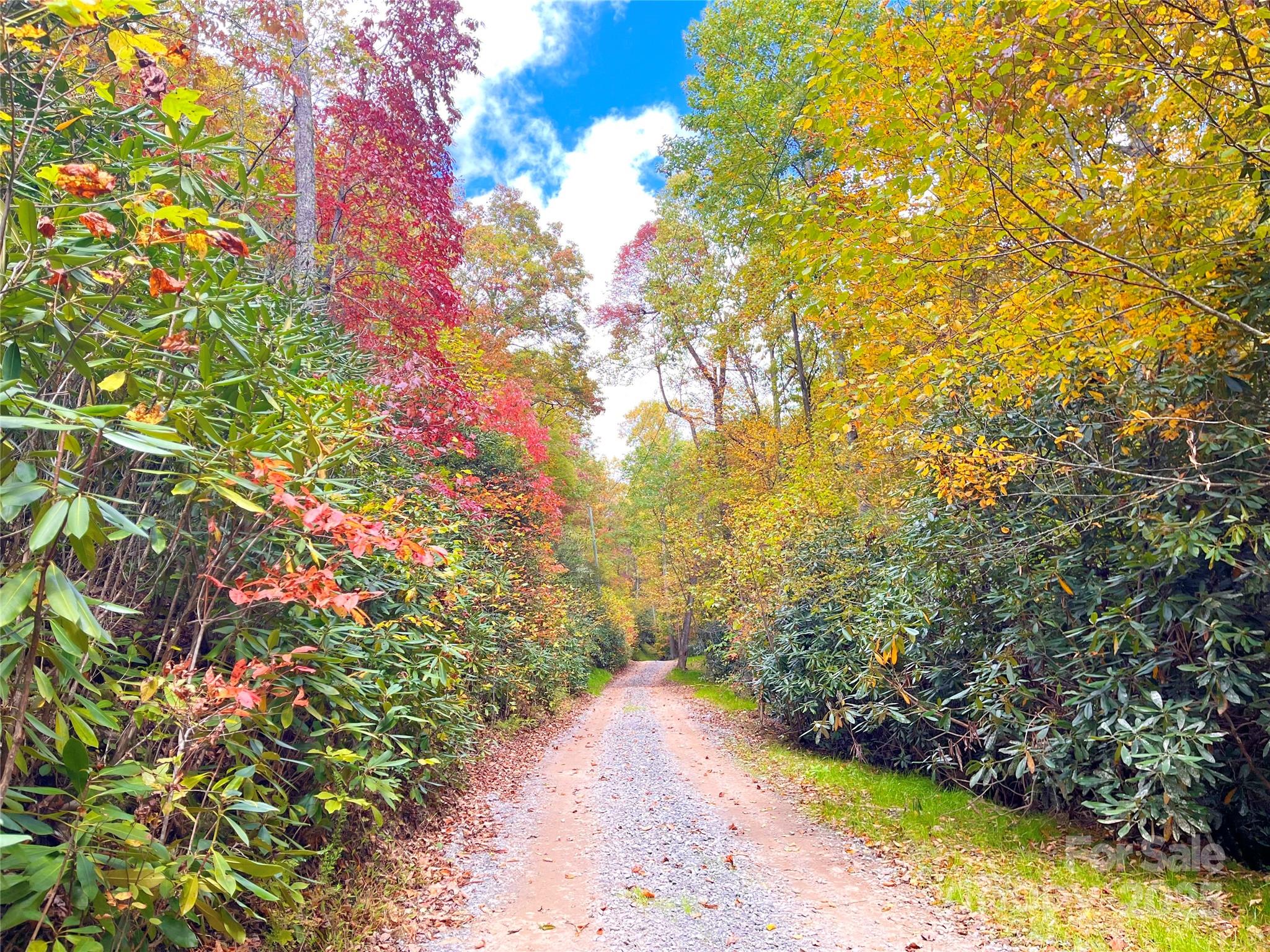 57 Grouse Ridge Drive Black Mountain NC 28711