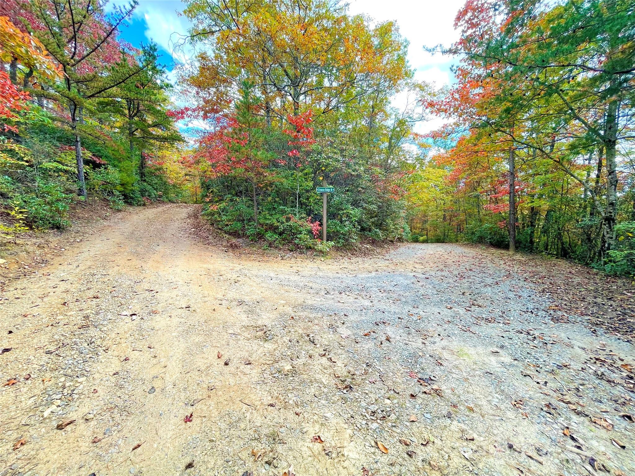 57 Grouse Ridge Drive Black Mountain NC 28711