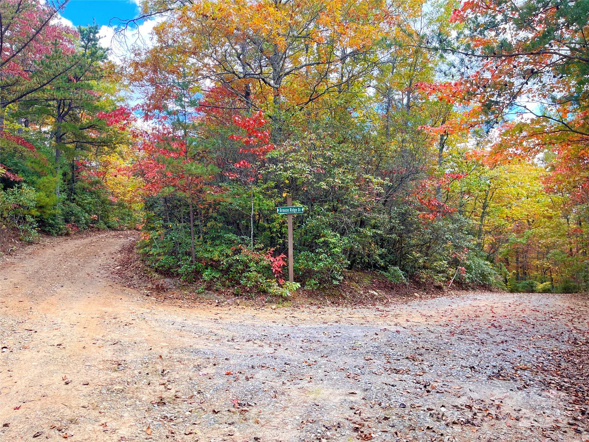 57 Grouse Ridge Drive Black Mountain NC 28711