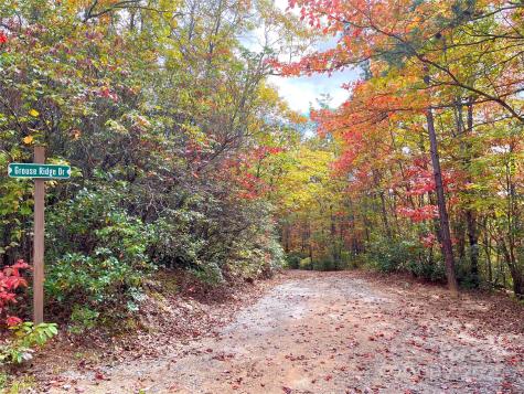 57 Grouse Ridge Drive Black Mountain NC 28711
