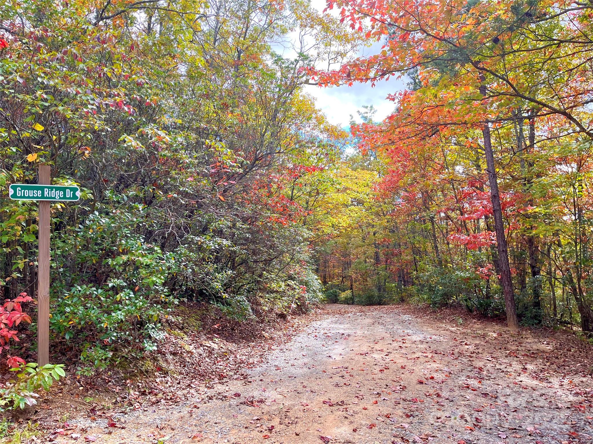 57 Grouse Ridge Drive Black Mountain NC 28711