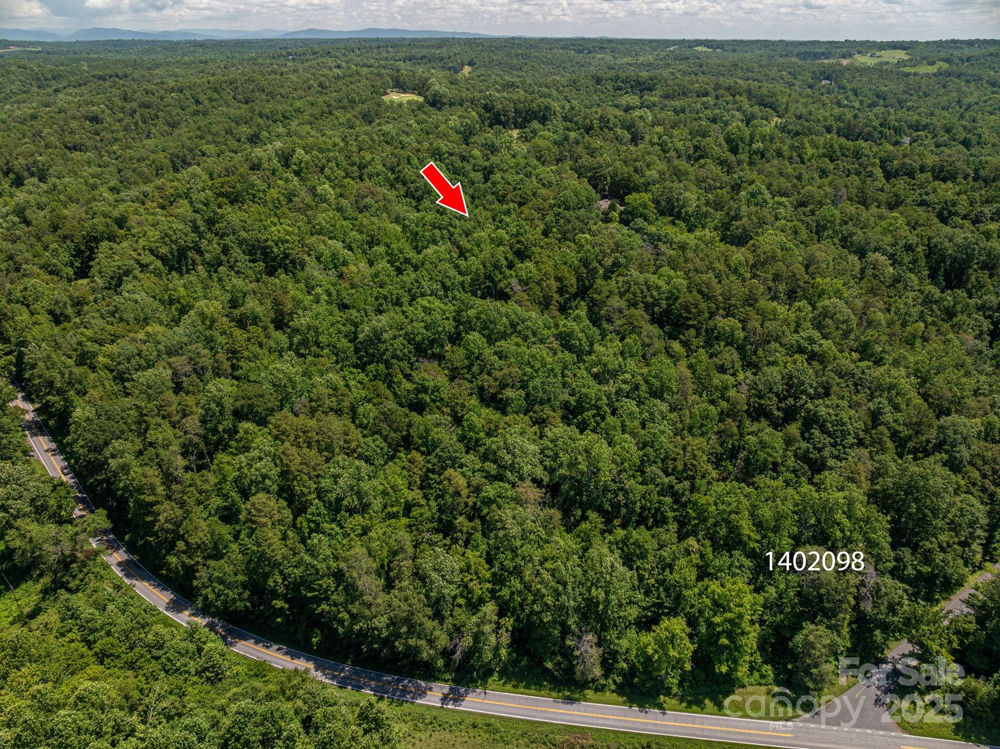 Lot 170 Coxe Road Rutherfordton NC 28139
