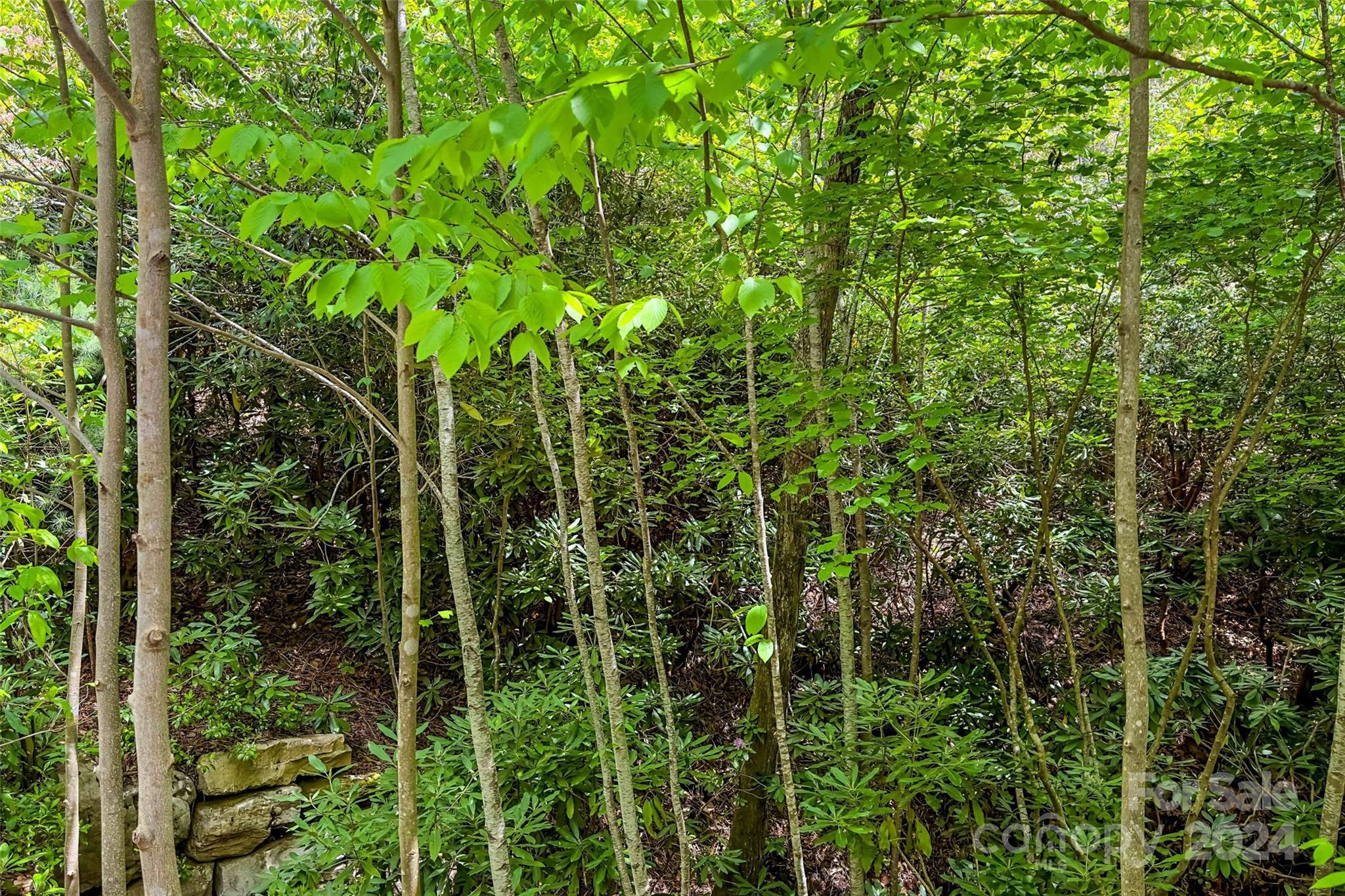 15 Fates Overlook Loop Black Mountain NC 28711