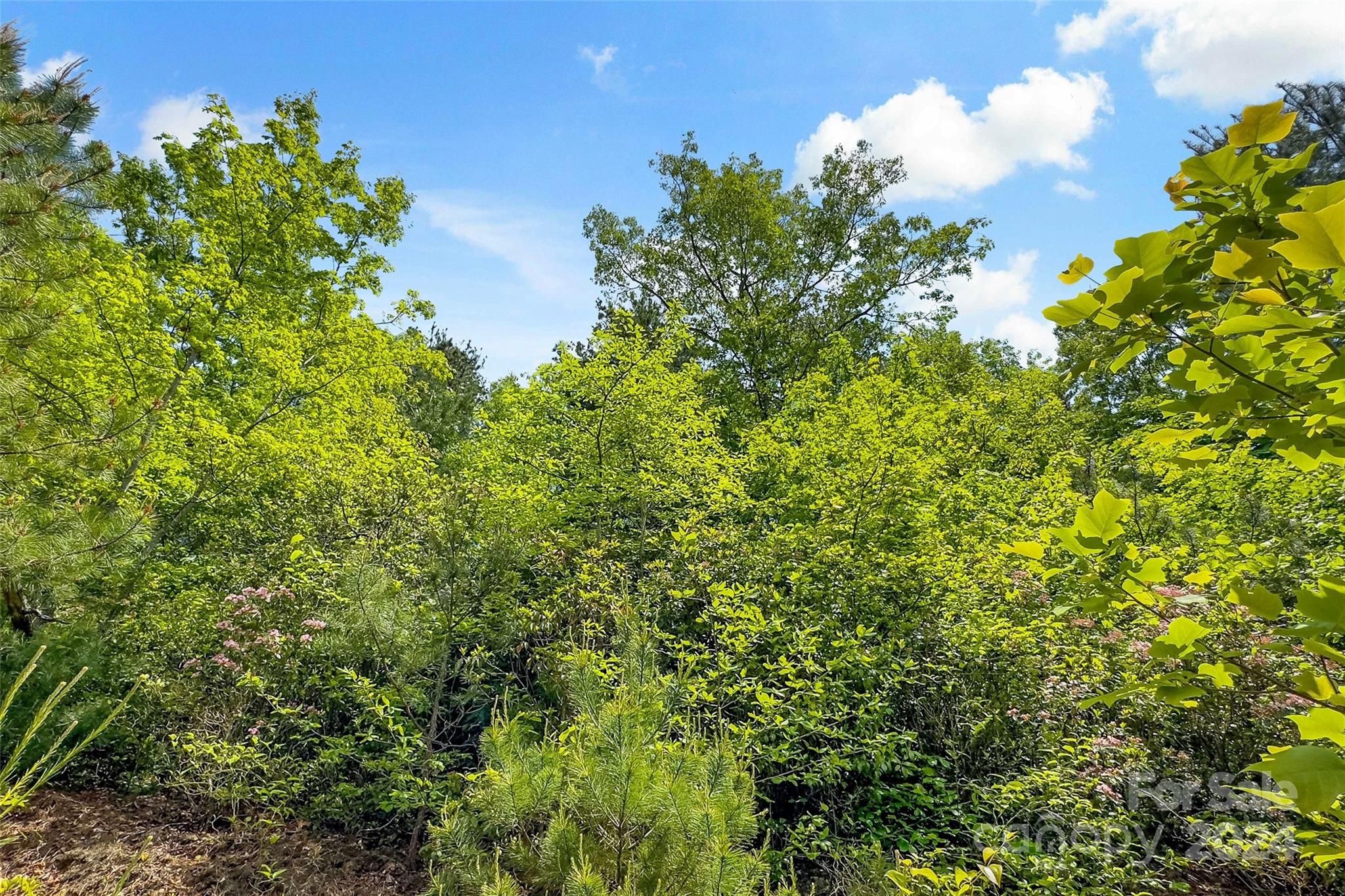 15 Fates Overlook Loop Black Mountain NC 28711