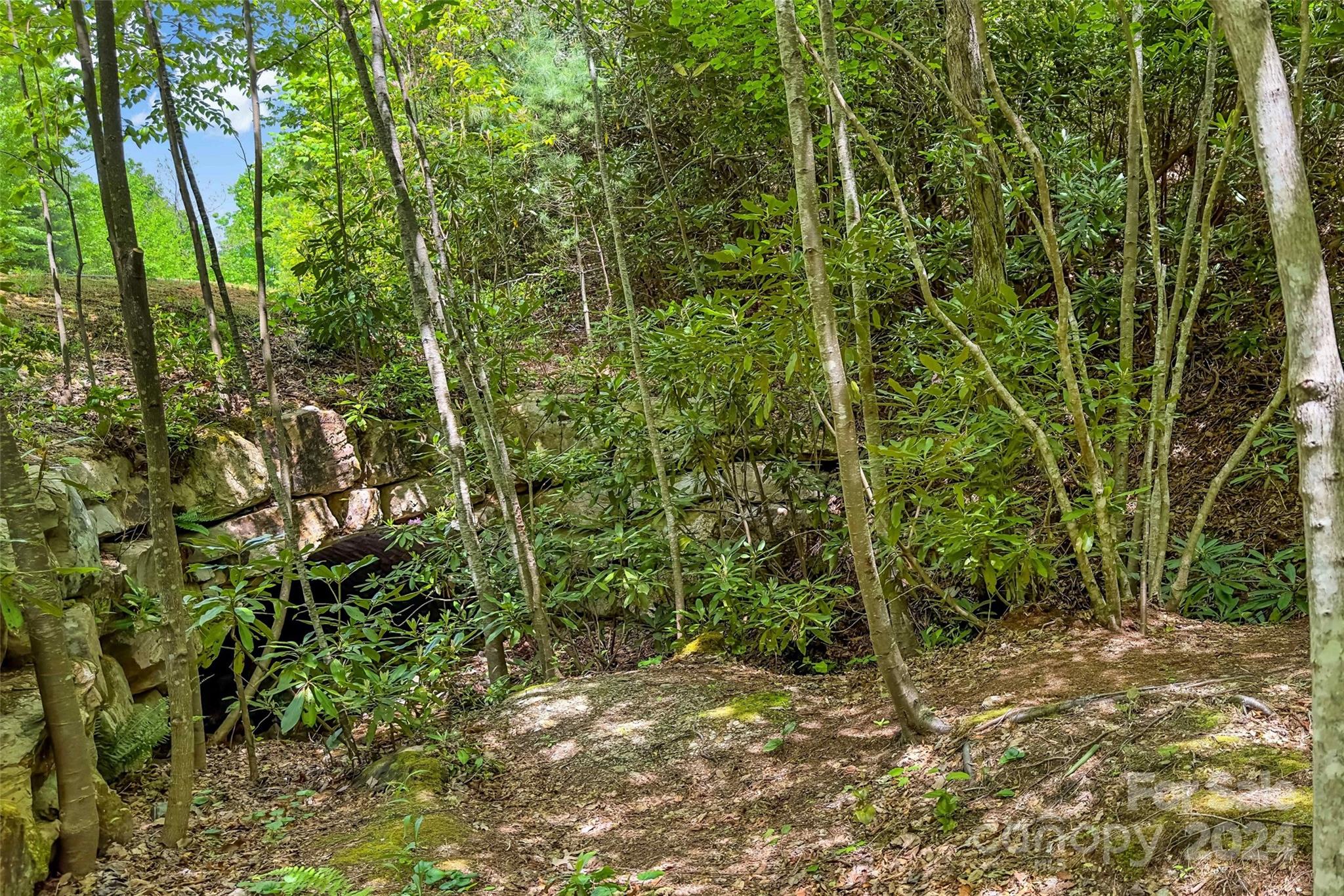 15 Fates Overlook Loop Black Mountain NC 28711