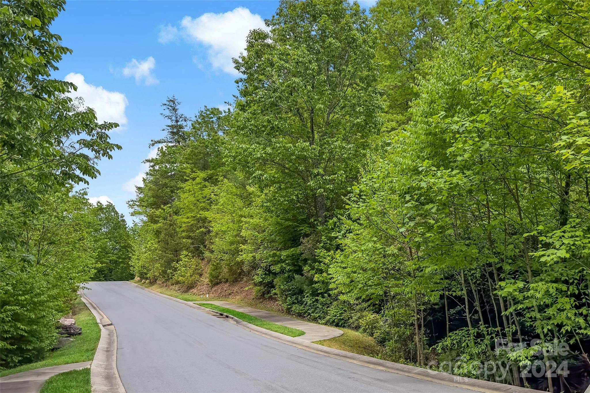 15 Fates Overlook Loop Black Mountain NC 28711