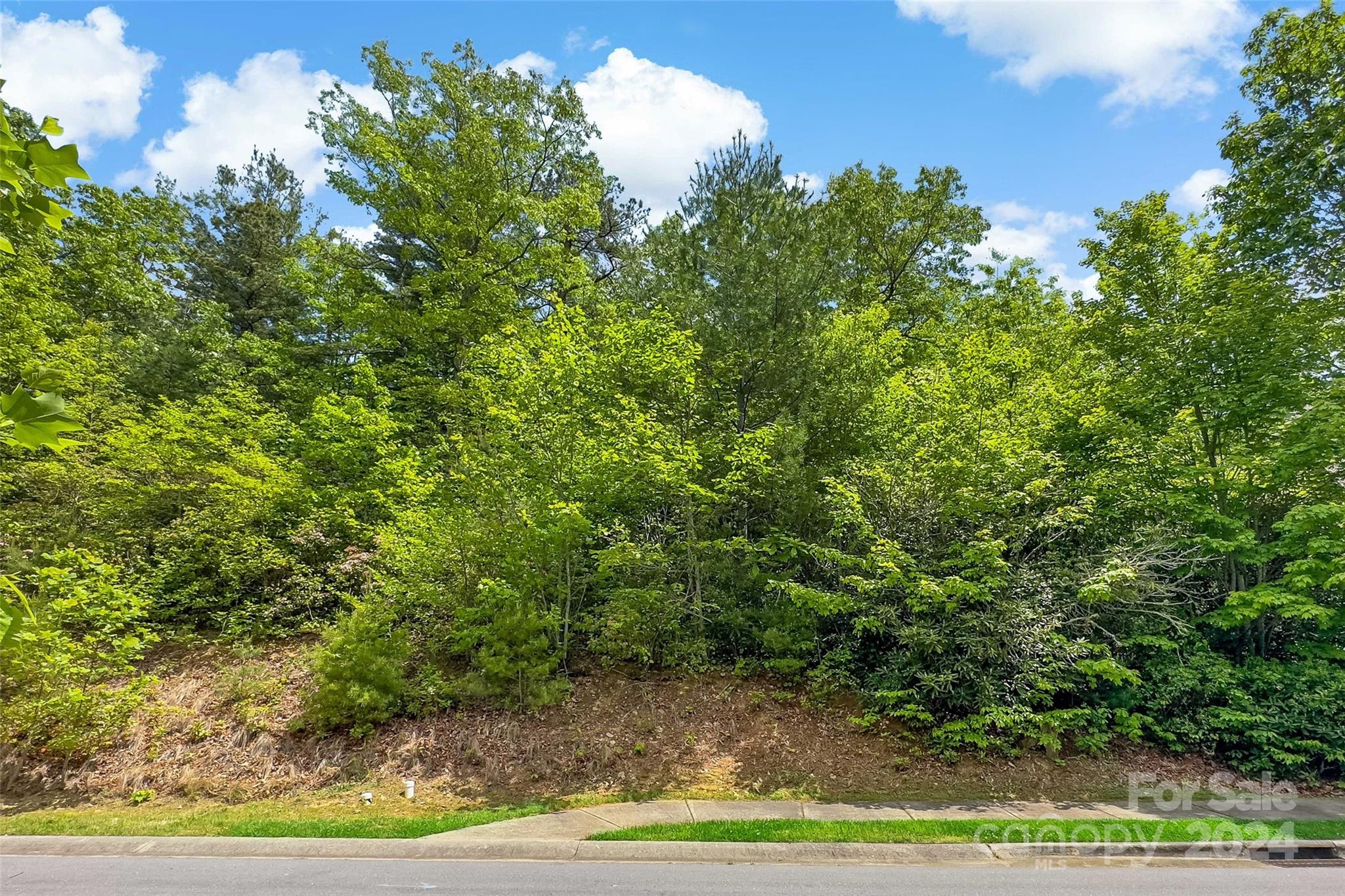 15 Fates Overlook Loop Black Mountain NC 28711