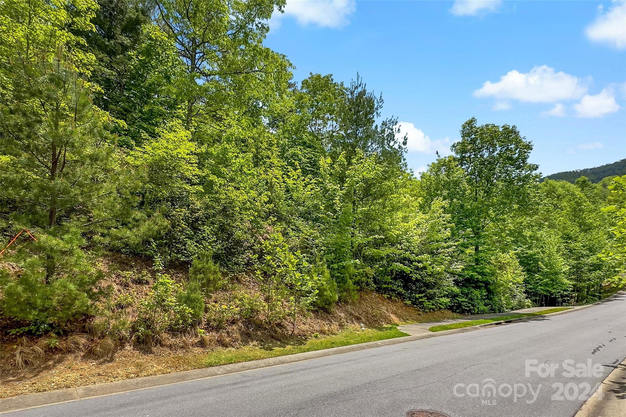 15 Fates Overlook Loop Black Mountain NC 28711