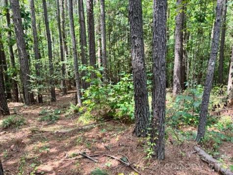 100 Shortoff Trail NW Valdese NC 28690