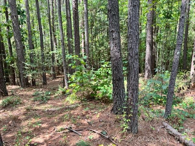 100 Shortoff Trail NW Valdese NC 28690