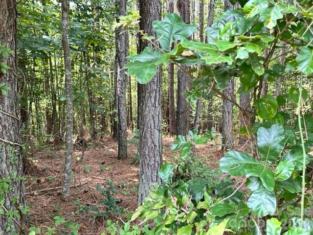 100 Shortoff Trail NW Valdese NC 28690