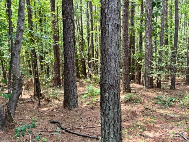 100 Shortoff Trail NW Valdese NC 28690