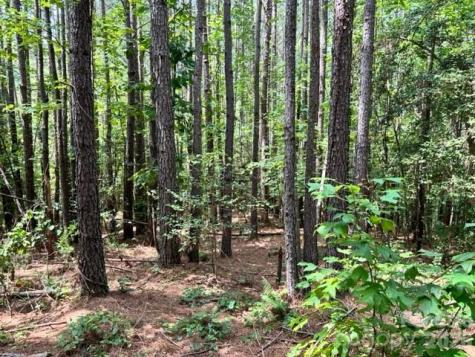 100 Shortoff Trail NW Valdese NC 28690