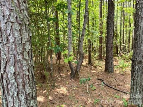 100 Shortoff Trail NW Valdese NC 28690