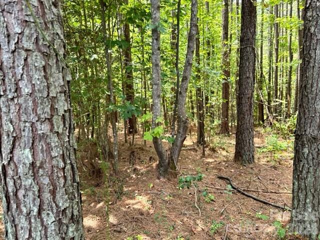 100 Shortoff Trail NW Valdese NC 28690