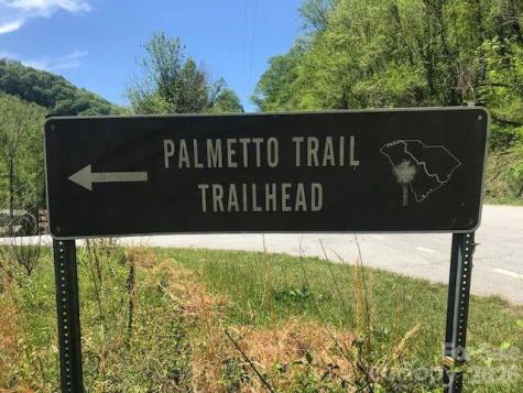 00 Charleston Harbor Drive Saluda NC 28773