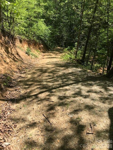 00 Charleston Harbor Drive Saluda NC 28773