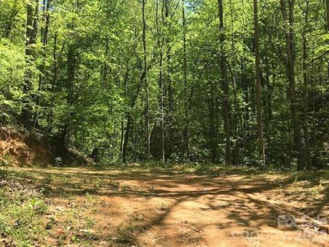 00 Charleston Harbor Drive Saluda NC 28773