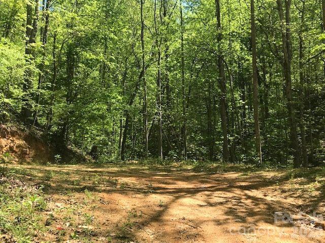 00 Charleston Harbor Drive Saluda NC 28773