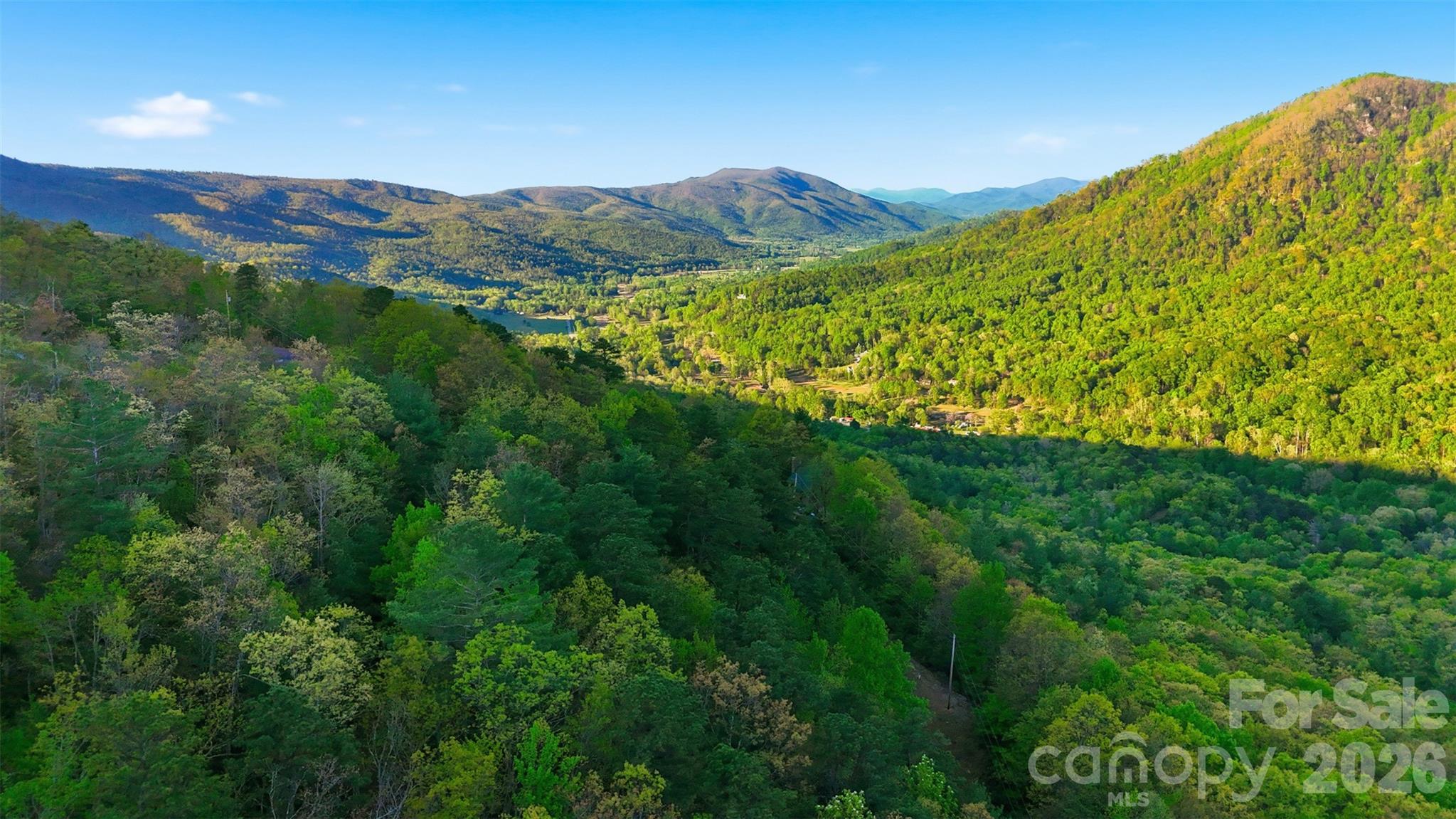 Tbd Linville Drive Marion NC 28752