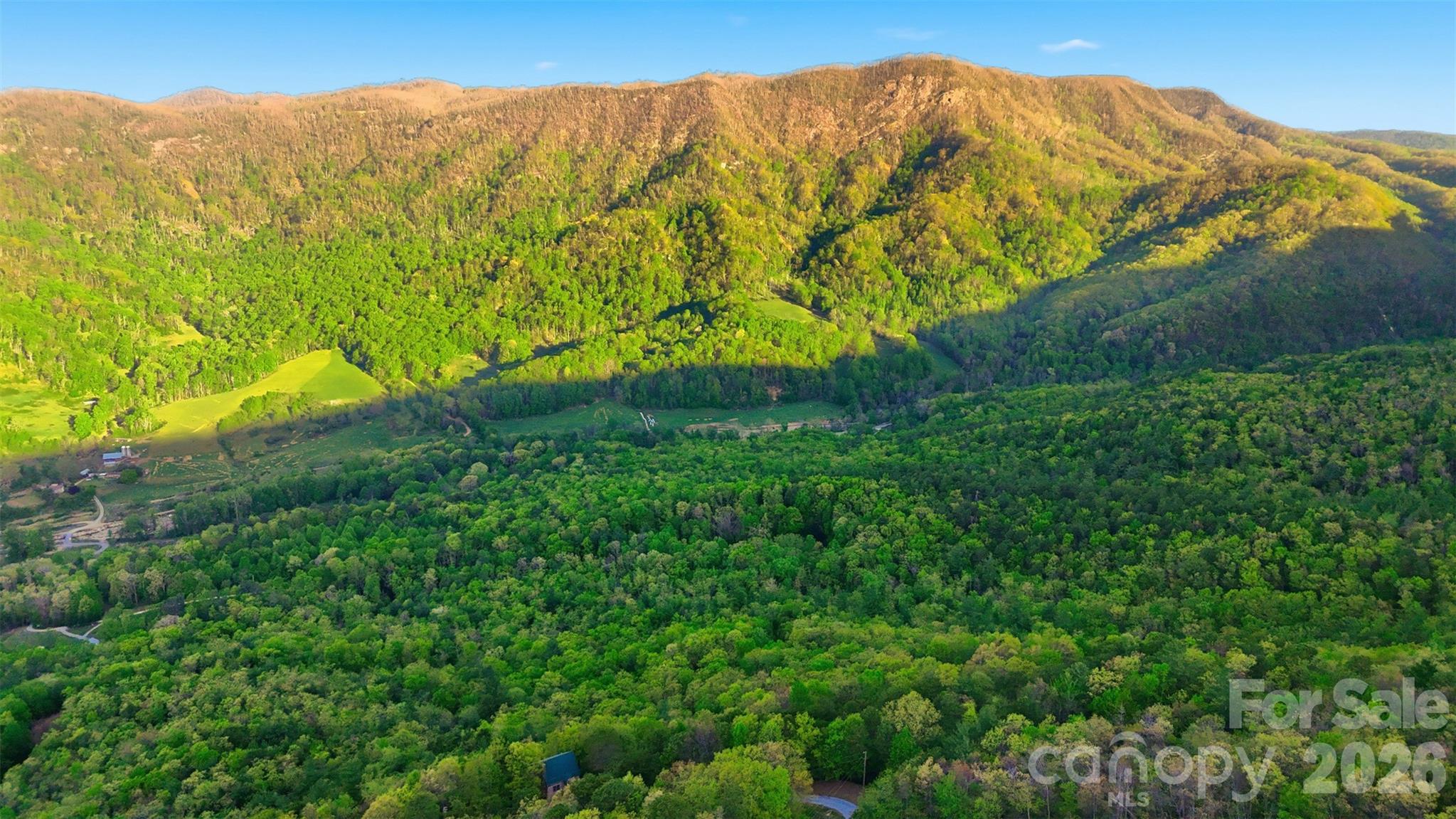Tbd Linville Drive Marion NC 28752