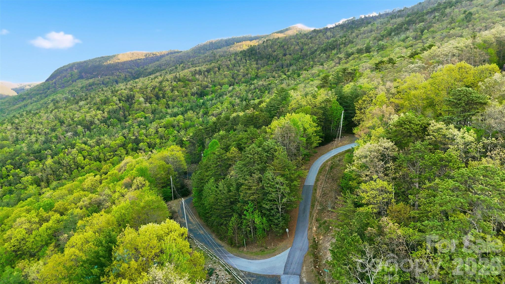 Tbd Linville Drive Marion NC 28752