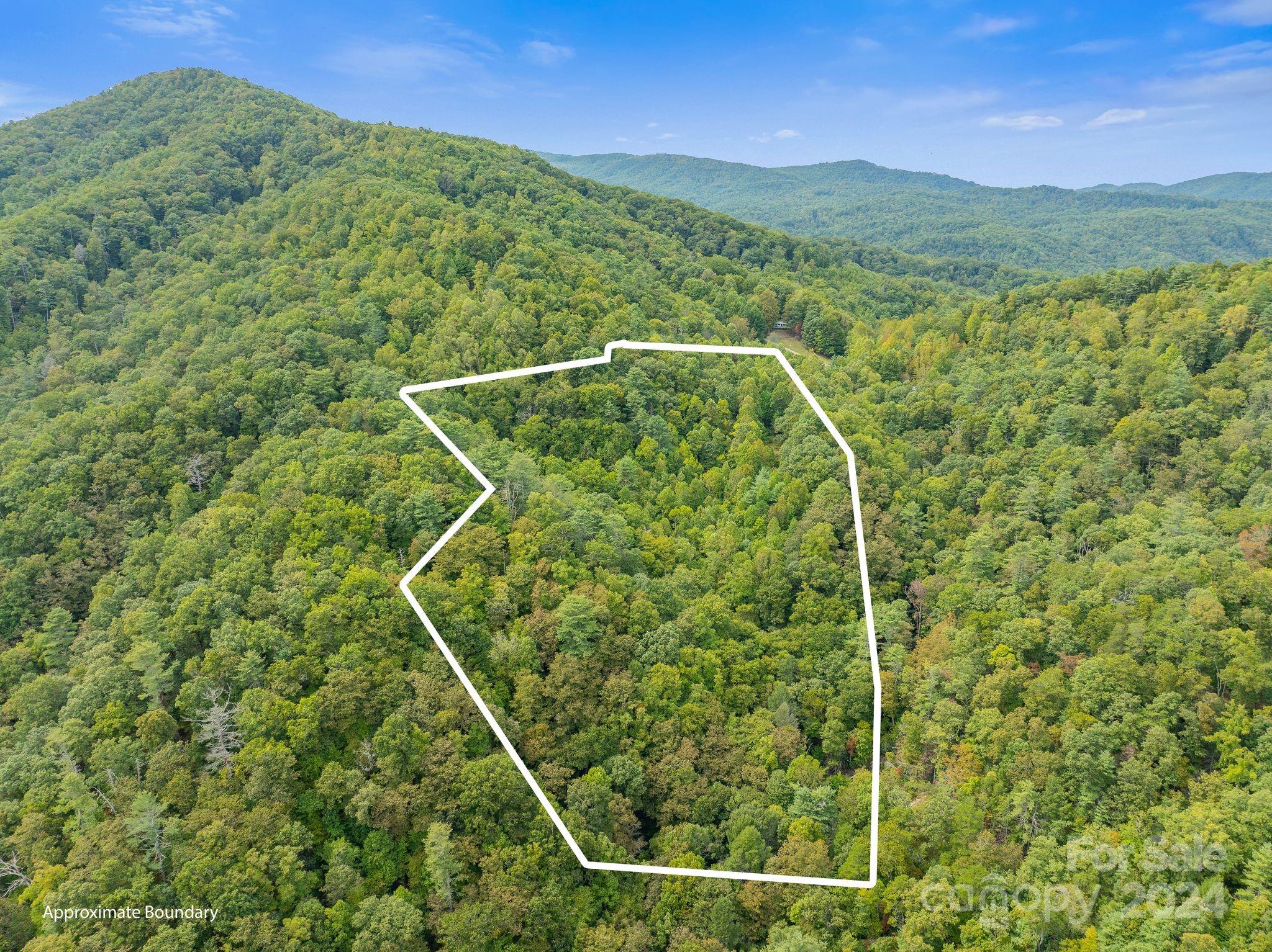 1218 Lorien Lane Marshall NC 28753