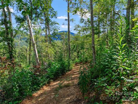 99999 Youngs Gap Road Fletcher NC 28732