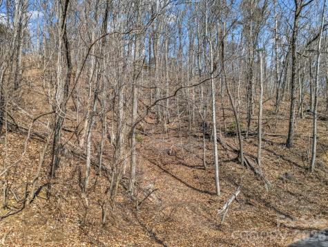Lot #19 Hemlock Trail Columbus NC 28722