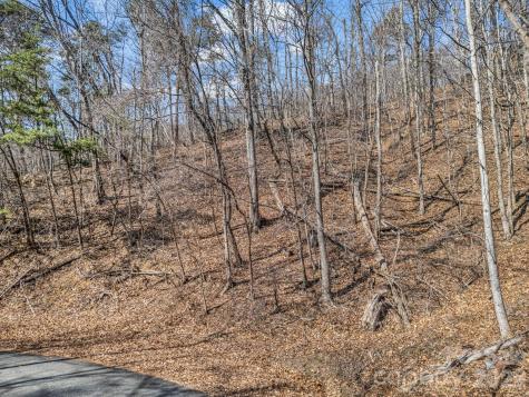 Lot #19 Hemlock Trail Columbus NC 28722