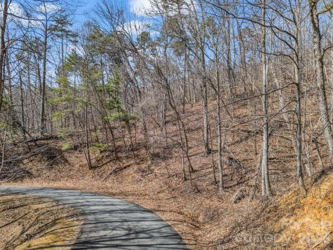 Lot #19 Hemlock Trail Columbus NC 28722