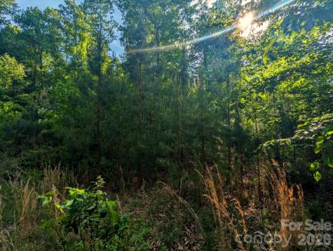 2162 Columbia Ridge Connelly Springs NC 28612