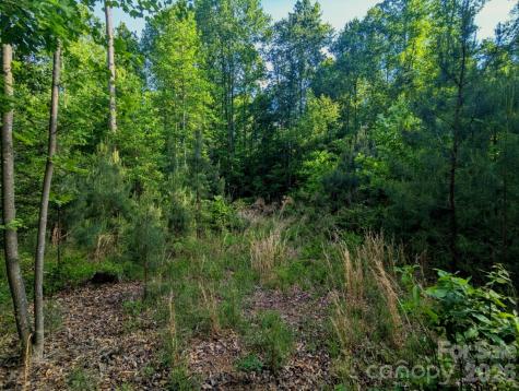 2162 Columbia Ridge Connelly Springs NC 28612