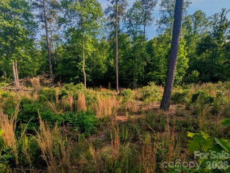 2162 Columbia Ridge Connelly Springs NC 28612
