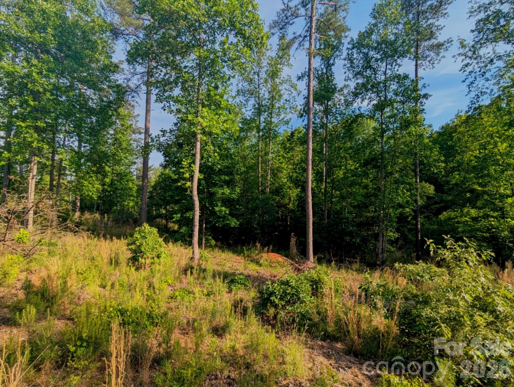 2162 Columbia Ridge Connelly Springs NC 28612