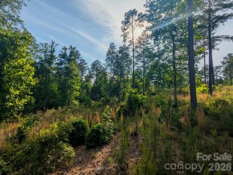 2162 Columbia Ridge Connelly Springs NC 28612